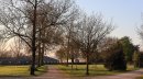 Le jardin des retours